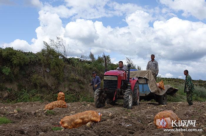 蛋蛋预测28结果_✅幸运28预测结果、积极作答，落实解释